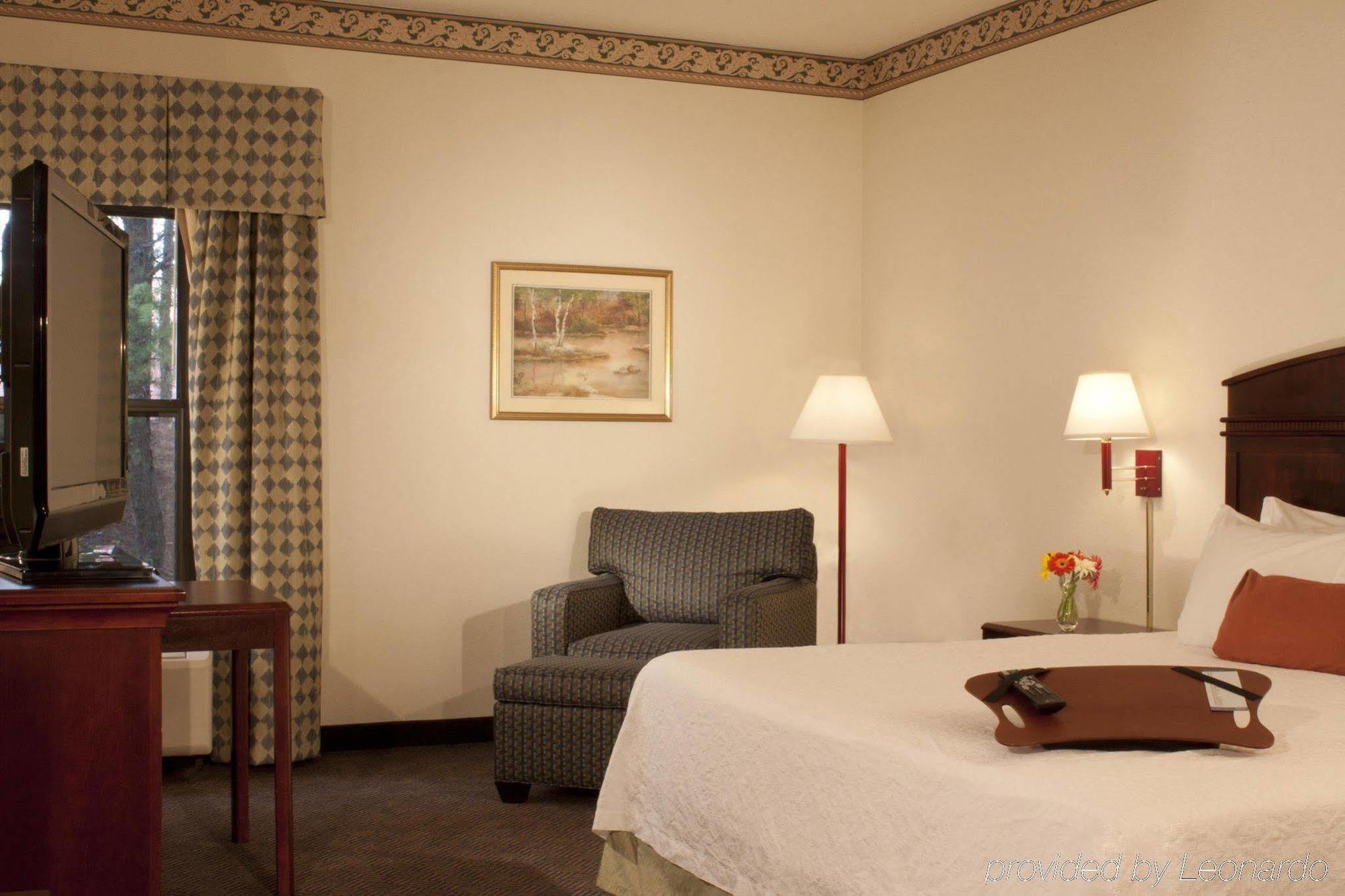 Hampton Inn Lawrenceville Quarto foto